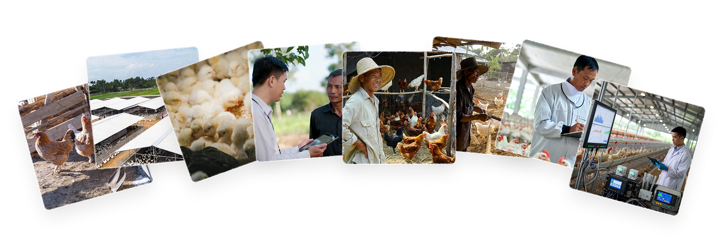 Hình ảnh đội ngũ chuyên gia, nhà nghiên cứu và đối tác trang trại WiHub